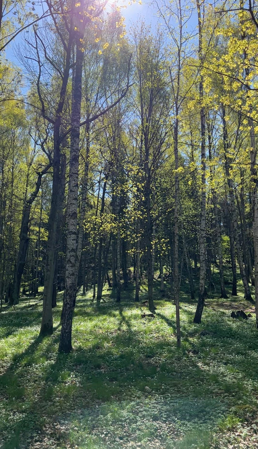 Pollen, hud och varför mindre alltid är mer just nu