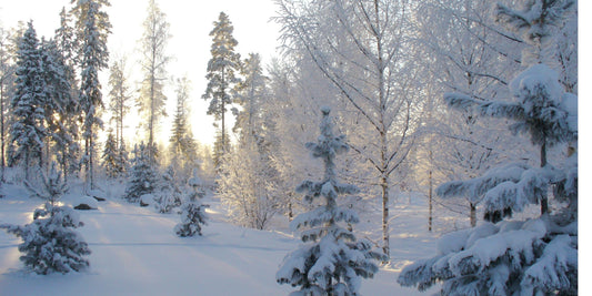 VINTER & 7 enkla tips för de kallare månaderna